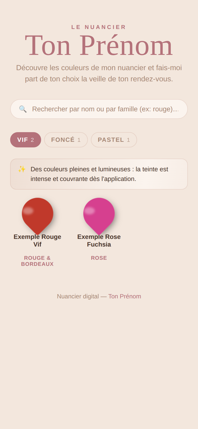 Aperçu de la template avec ses couleurs d'exemple